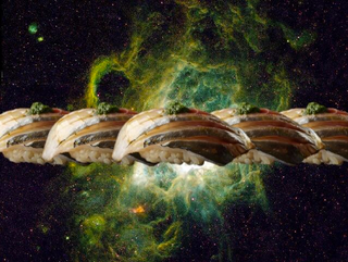 Illustration for article titled These pictures of sushi floating in space are truly awesome